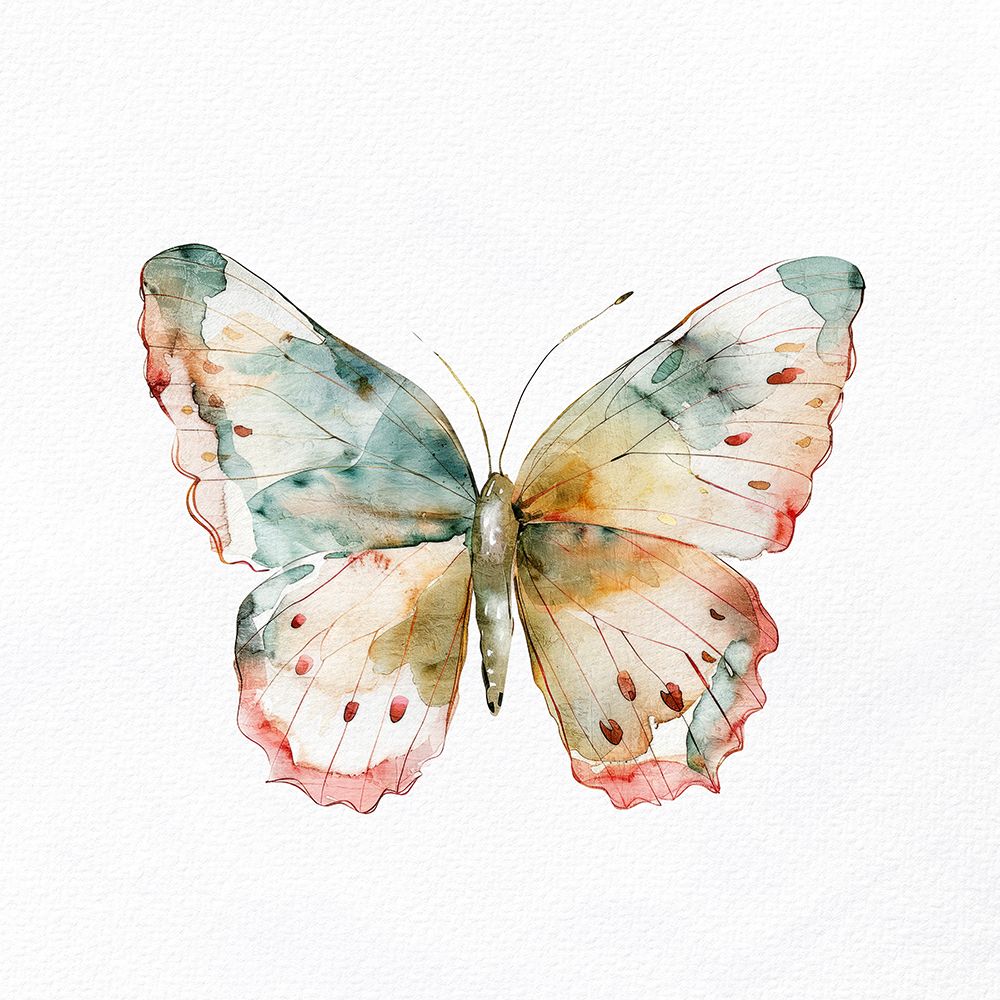 Watercolor Butterfly 2 art print by Kimberly Allen for $57.95 CAD