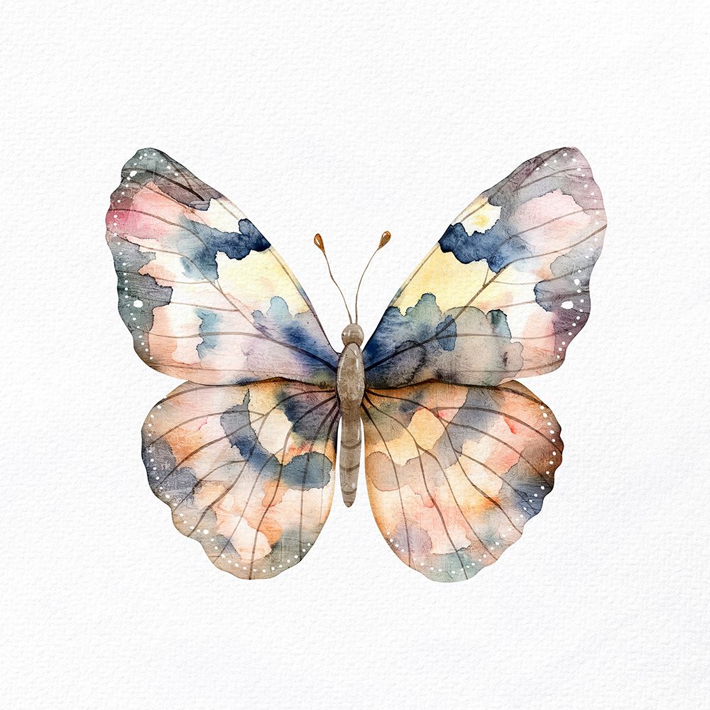 Watercolor Butterfly 3 art print by Kimberly Allen for $57.95 CAD
