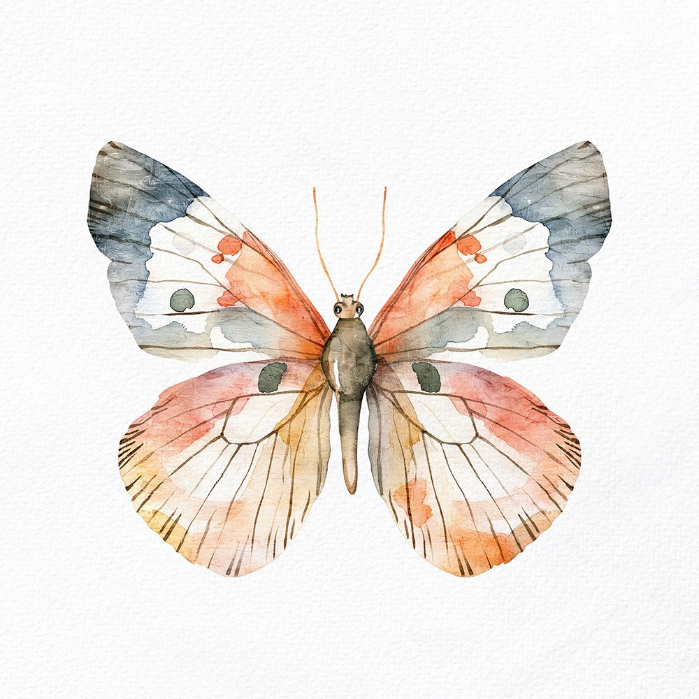 Watercolor Butterfly 4 art print by Kimberly Allen for $57.95 CAD