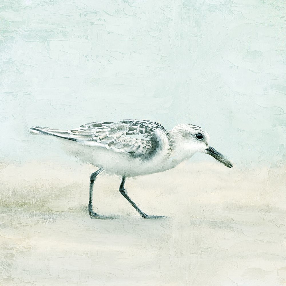 Sandpiper 1 art print by Kimberly Allen for $57.95 CAD