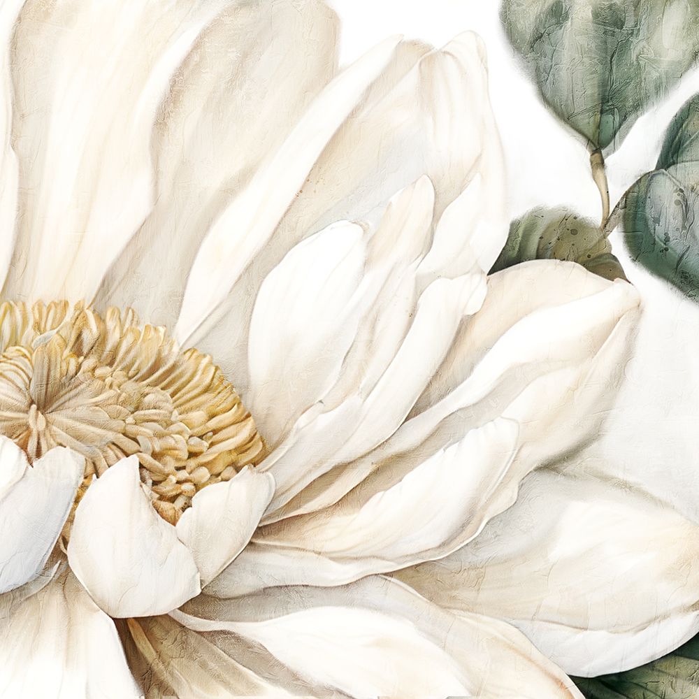 White Bloom art print by Kimberly Allen for $57.95 CAD