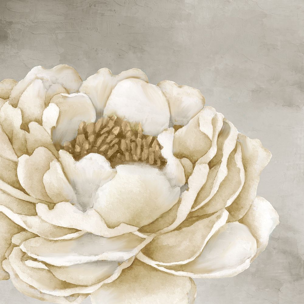 White Peony Gold art print by Kimberly Allen for $57.95 CAD