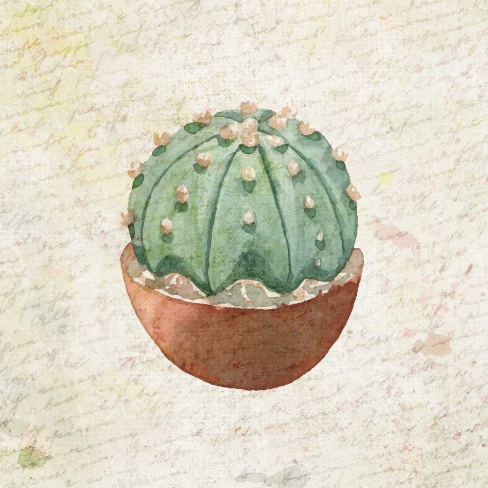 Desert Life 1 art print by Kimberly Allen for $57.95 CAD