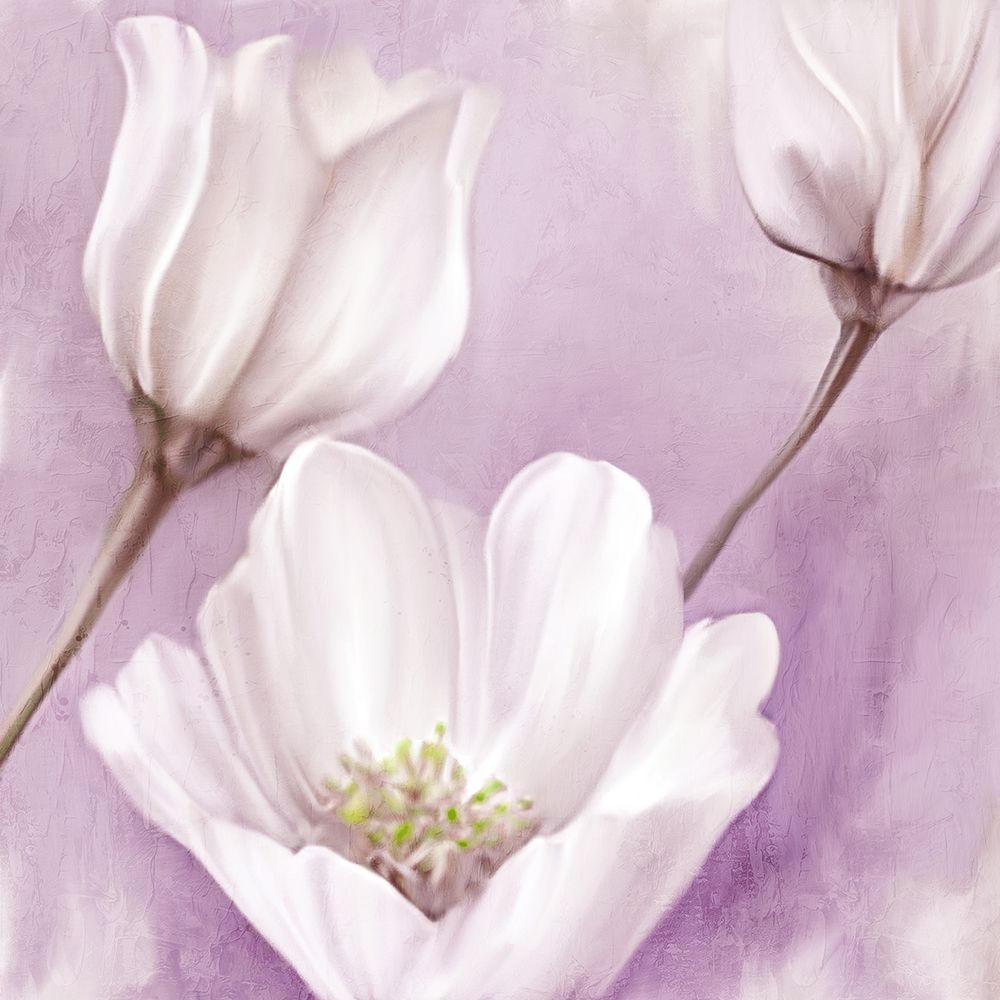 Plum Blooms 2 art print by Kimberly Allen for $57.95 CAD
