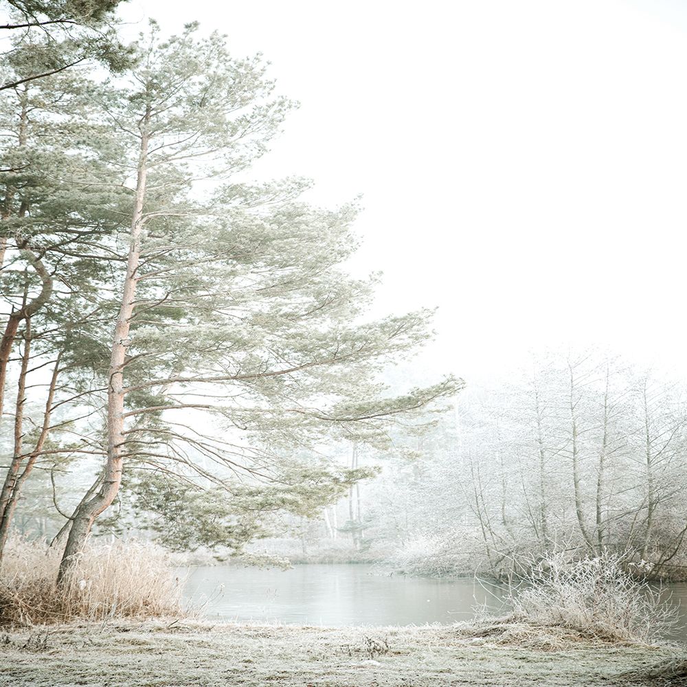 Silence art print by Kimberly Allen for $57.95 CAD