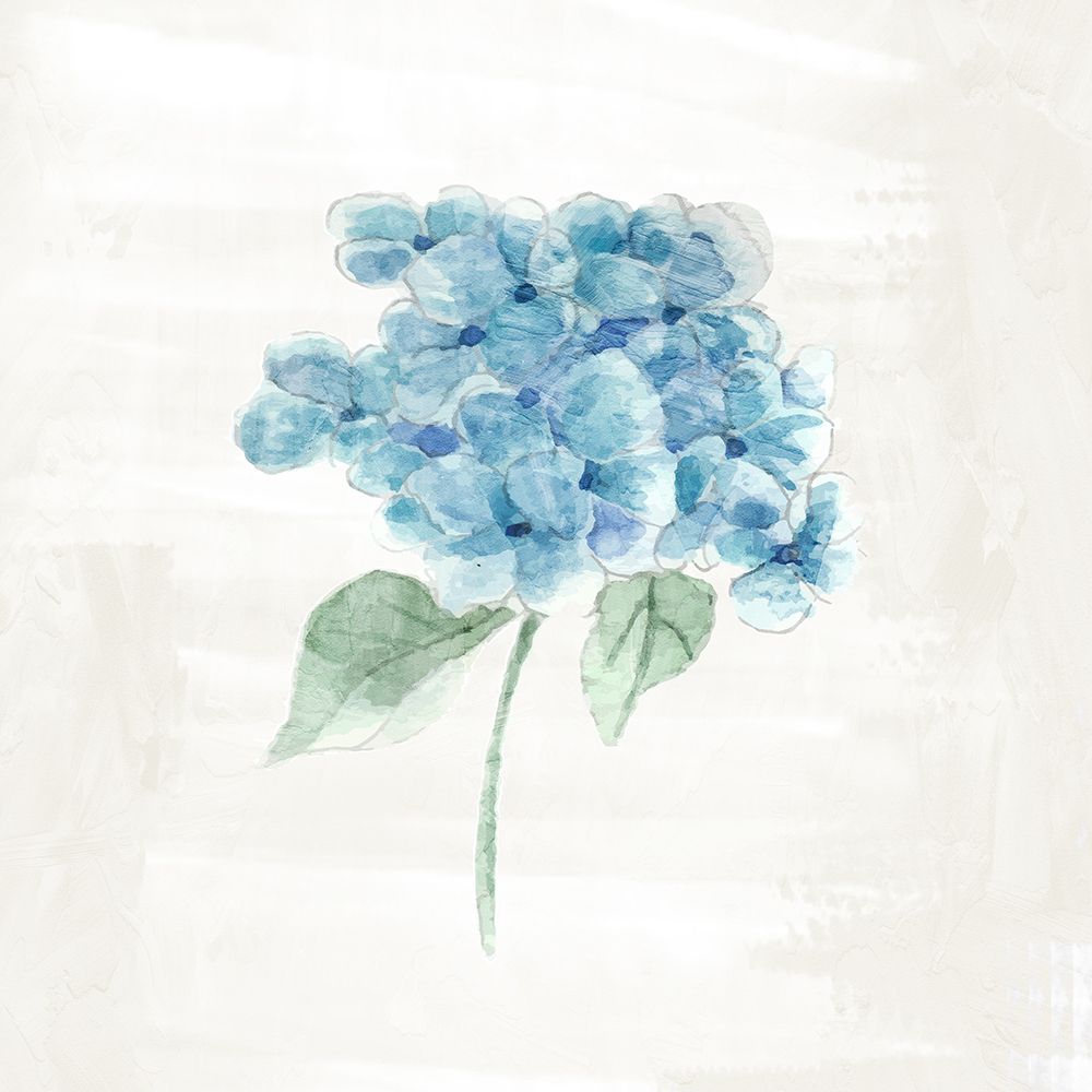 Hydrangea 2 art print by Kimberly Allen for $57.95 CAD