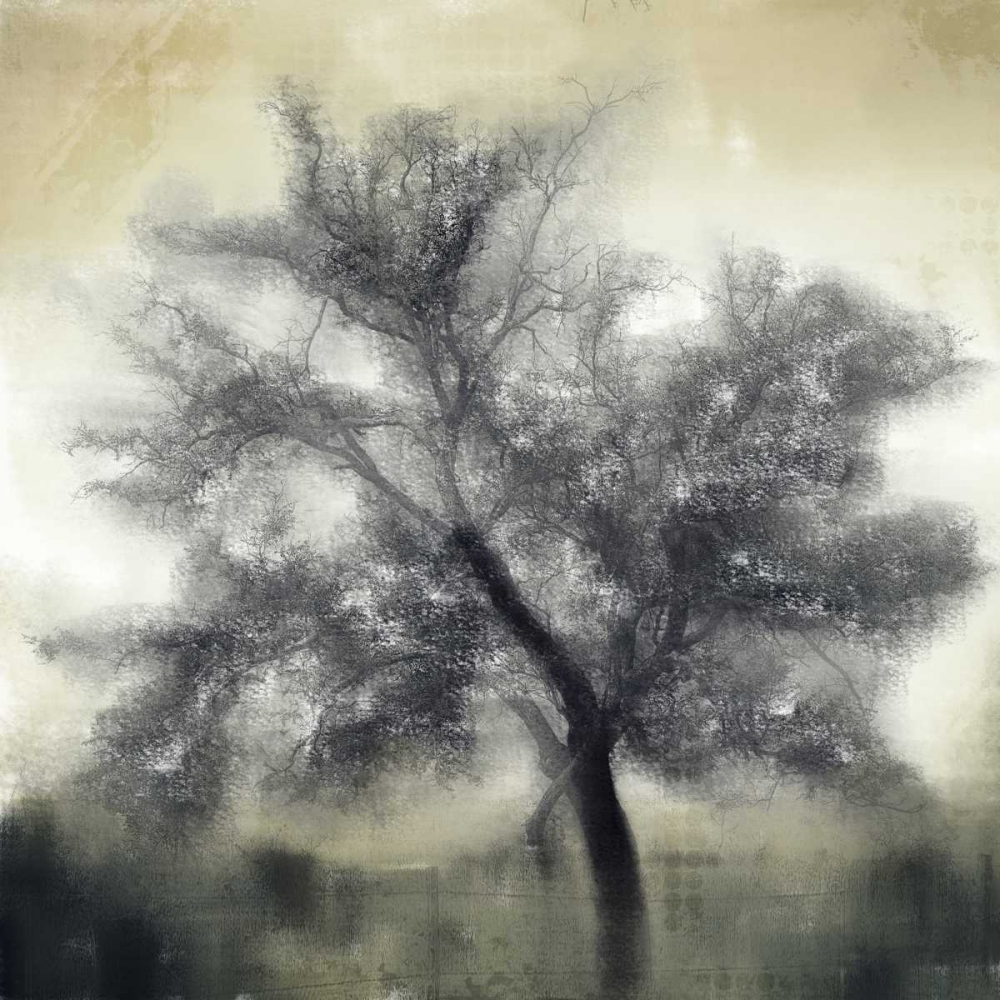 Evening Shadows art print by Kimberly Allen for $57.95 CAD