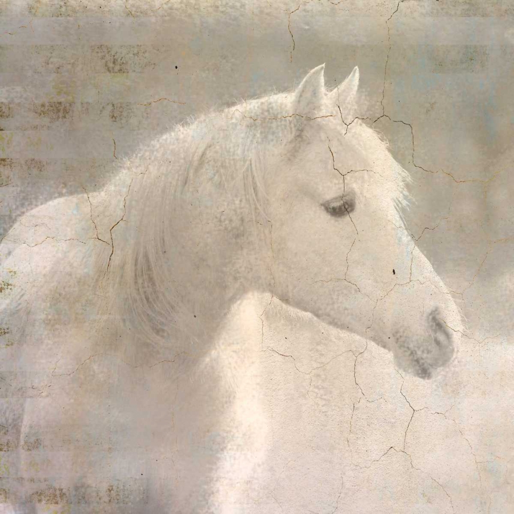 White Knight art print by Kimberly Allen for $57.95 CAD