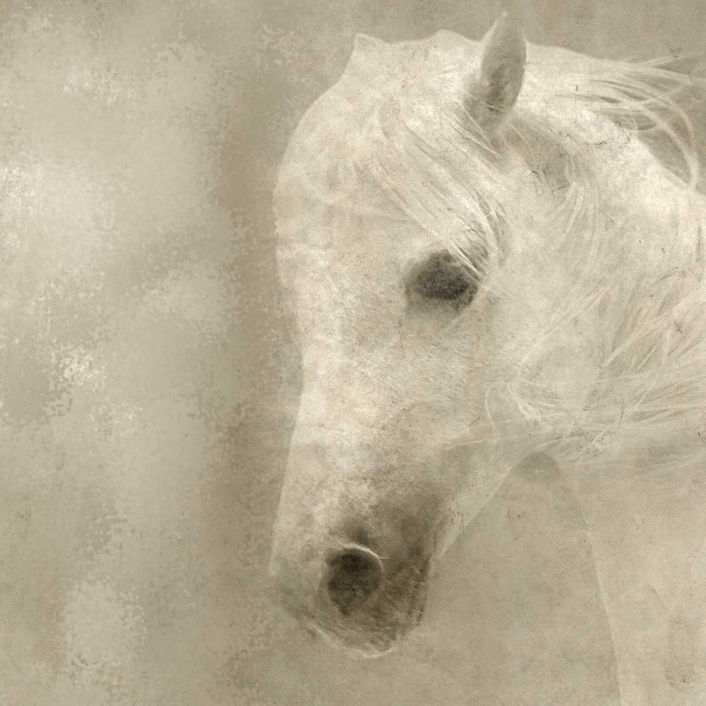 White Mane art print by Kimberly Allen for $57.95 CAD