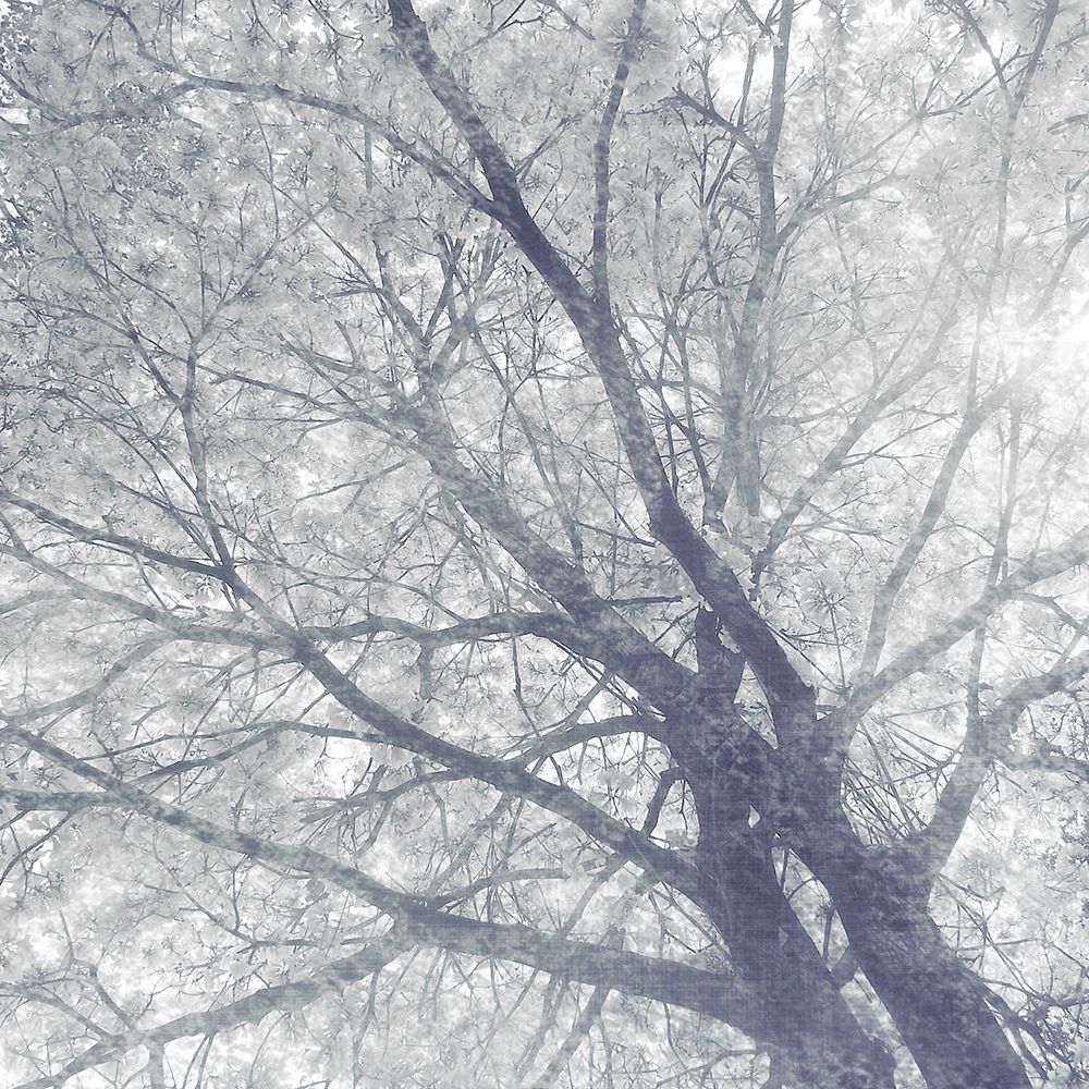 Towards The Sky art print by Kimberly Allen for $57.95 CAD