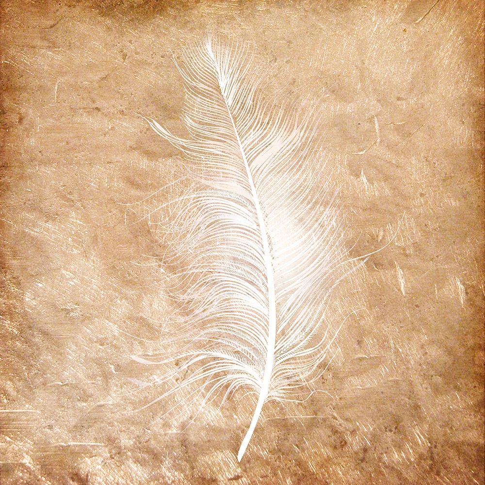 Copper Feathered 1 art print by Kimberly Allen for $57.95 CAD