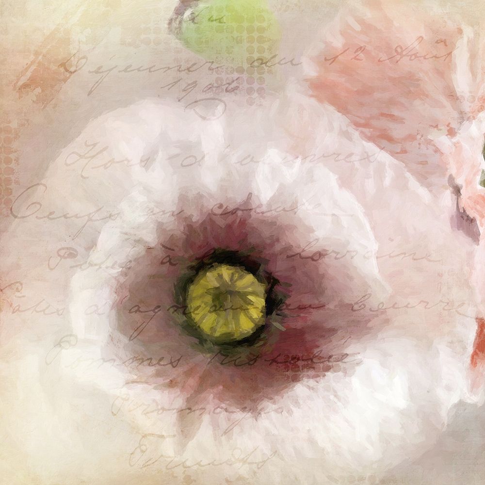 Poppy 1 art print by Kimberly Allen for $57.95 CAD