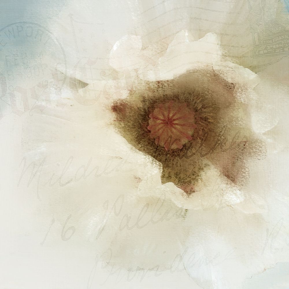 Postcard Poppy art print by Kimberly Allen for $57.95 CAD