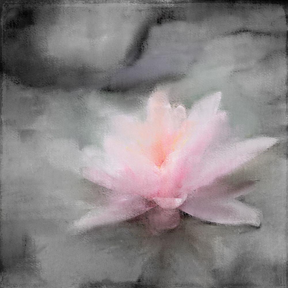 On the Lilly Pad art print by Kimberly Allen for $57.95 CAD
