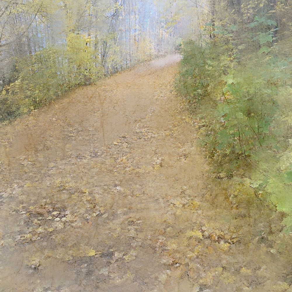 A Walk in the Park art print by Kimberly Allen for $57.95 CAD