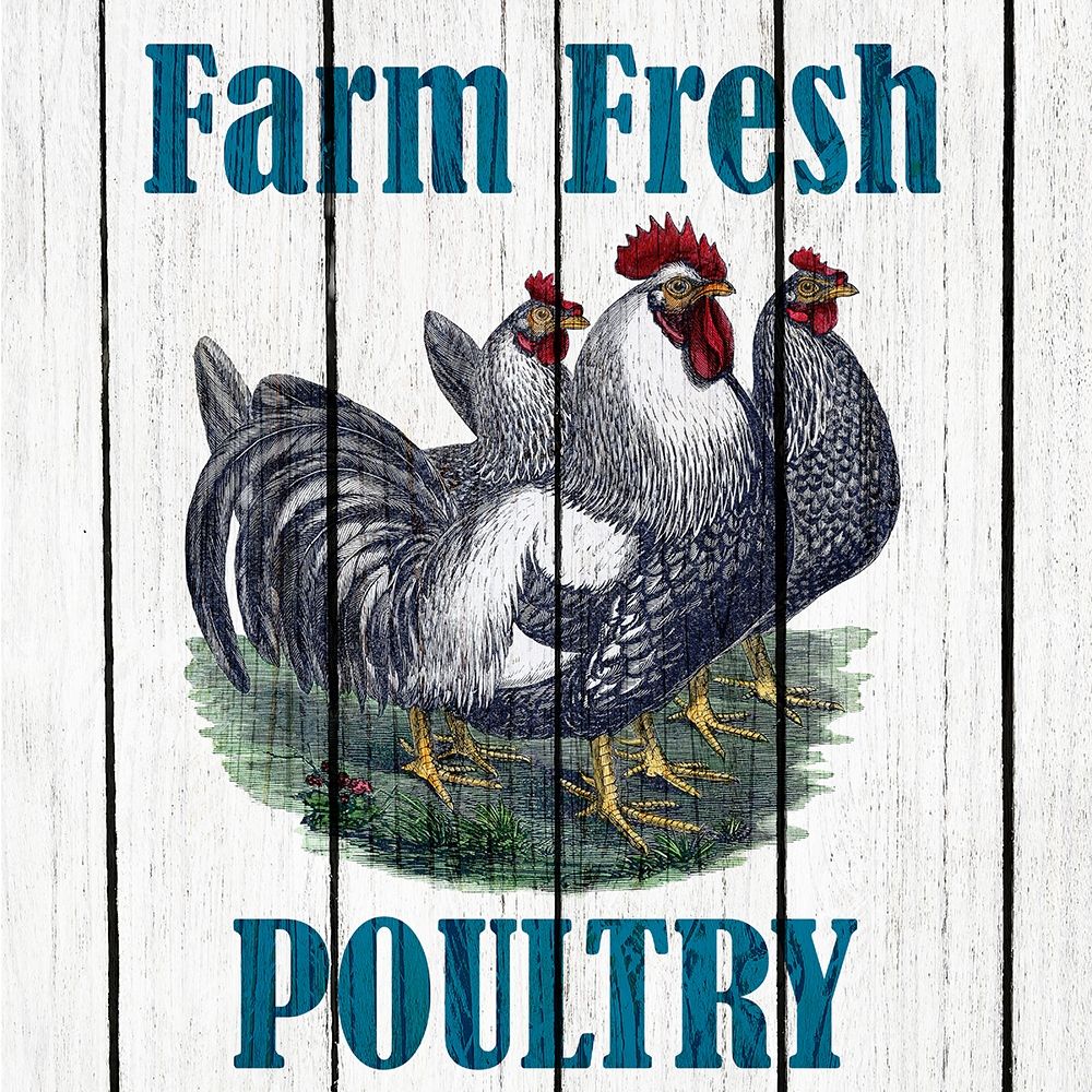 Farm Fresh 2 art print by Kimberly Allen for $57.95 CAD