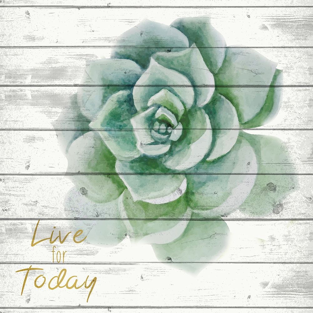 Live for Today 1 art print by Kimberly Allen for $57.95 CAD