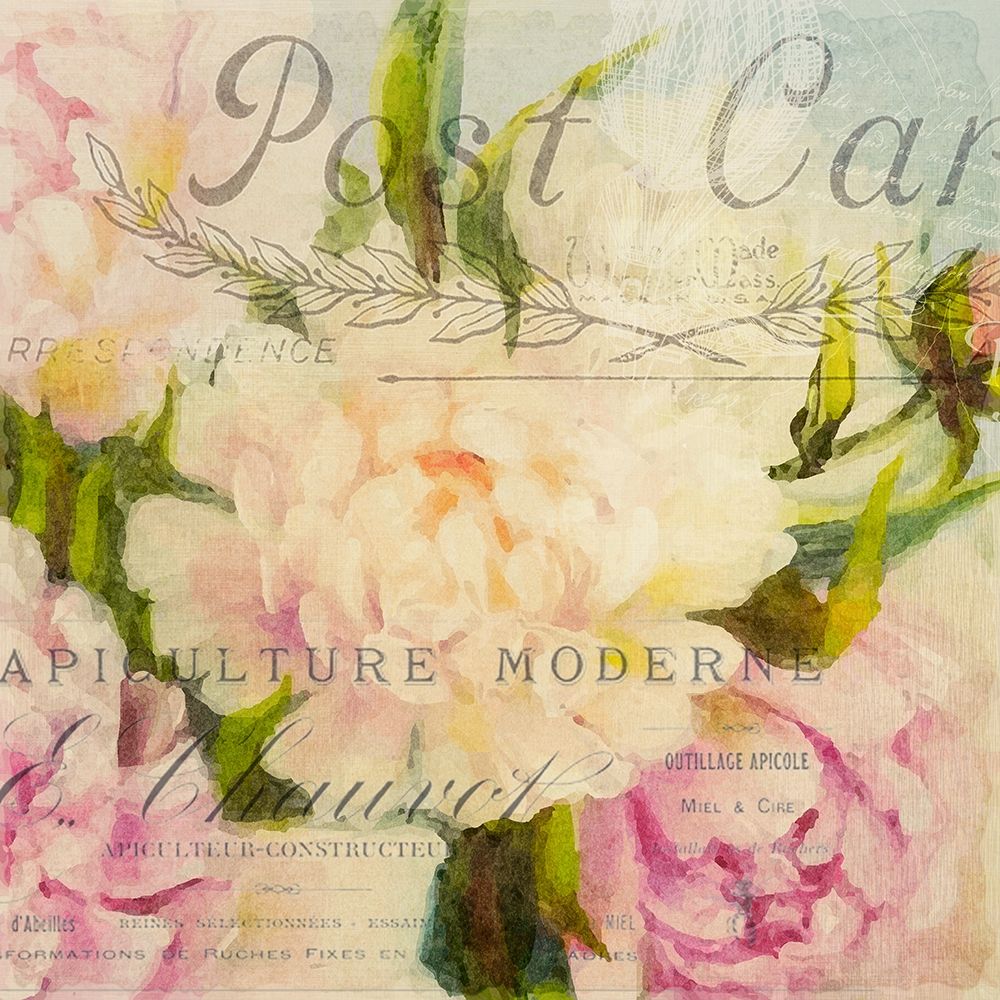 Summer Blooming C art print by Kimberly Allen for $57.95 CAD