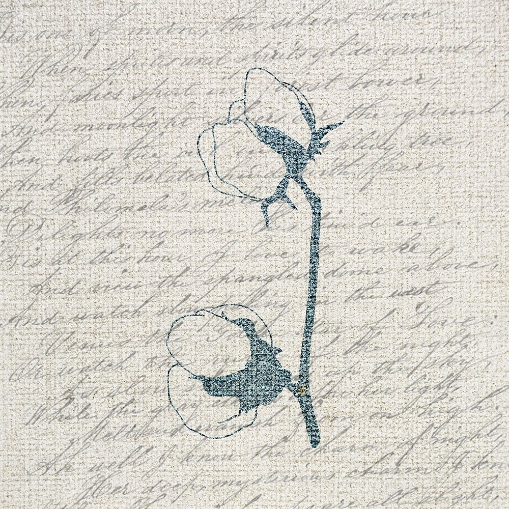 Cotton Blossoms 1 art print by Kimberly Allen for $57.95 CAD