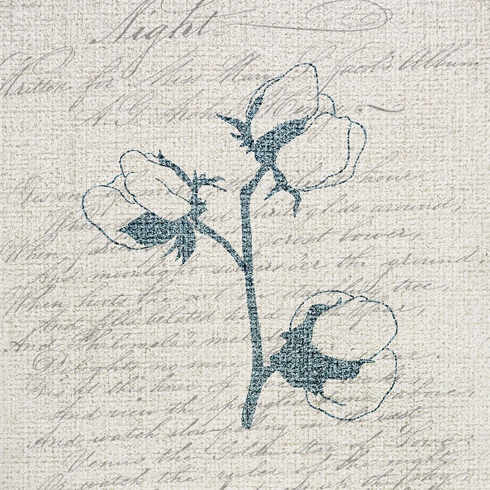 Cotton Blossoms 2 art print by Kimberly Allen for $57.95 CAD