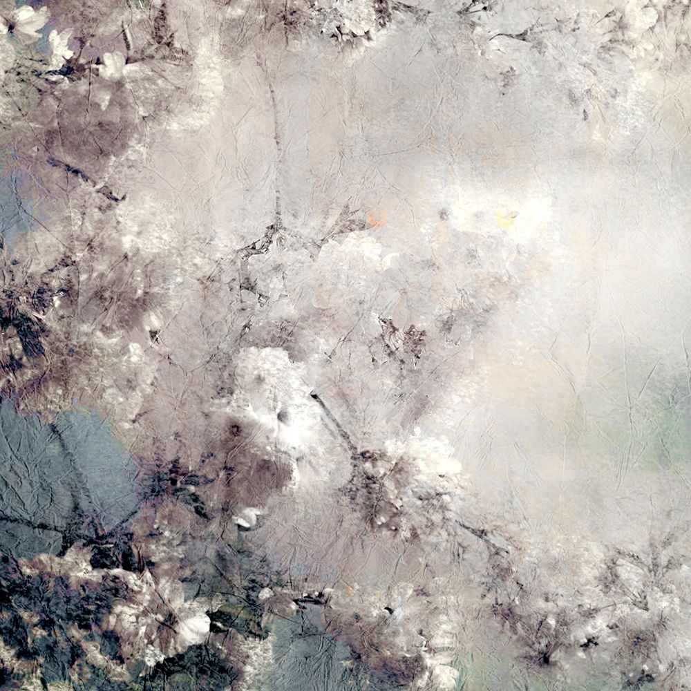 Dreaming of Cherry Blossoms Square art print by Kimberly Allen for $57.95 CAD