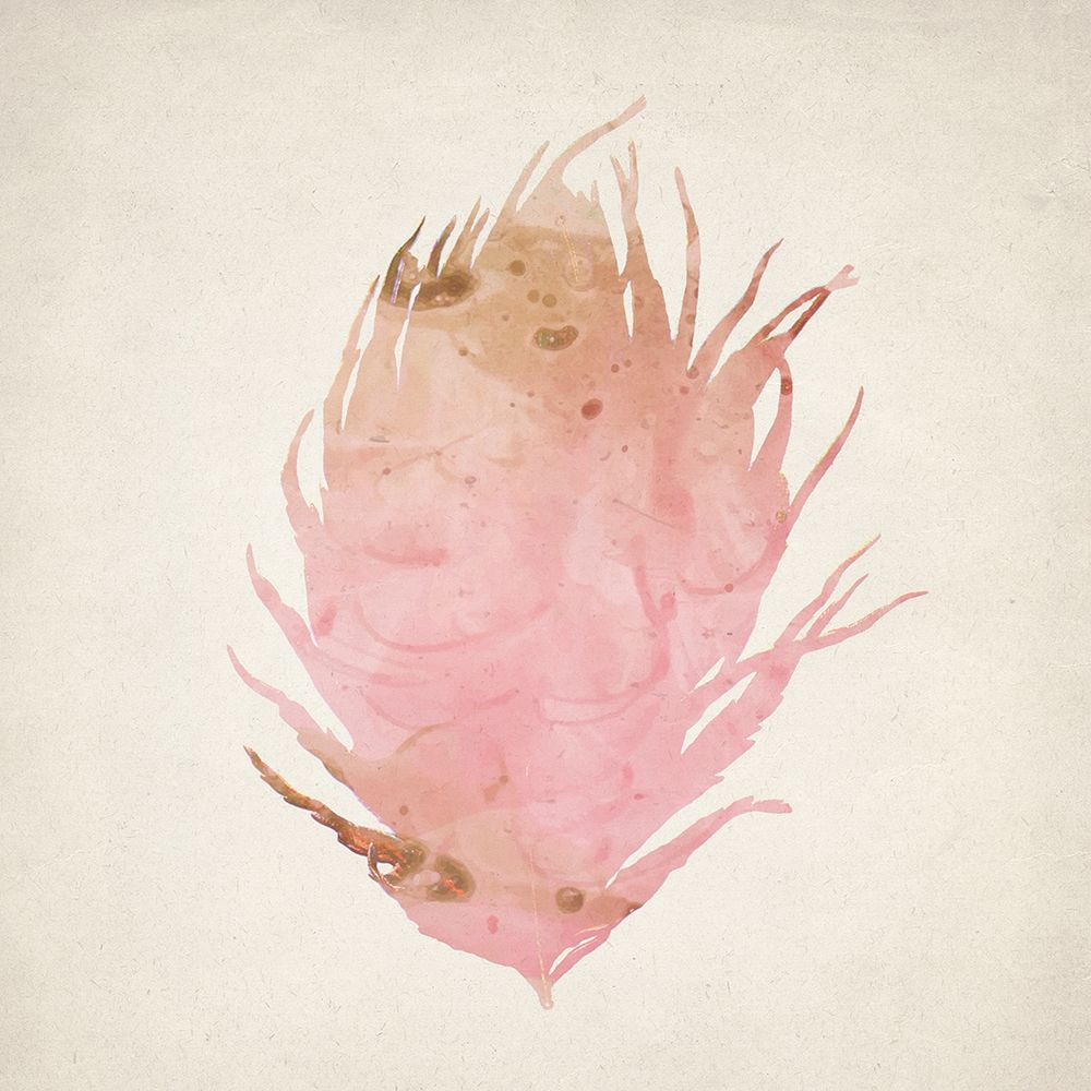 Pink Peacock 2 art print by Kimberly Allen for $57.95 CAD