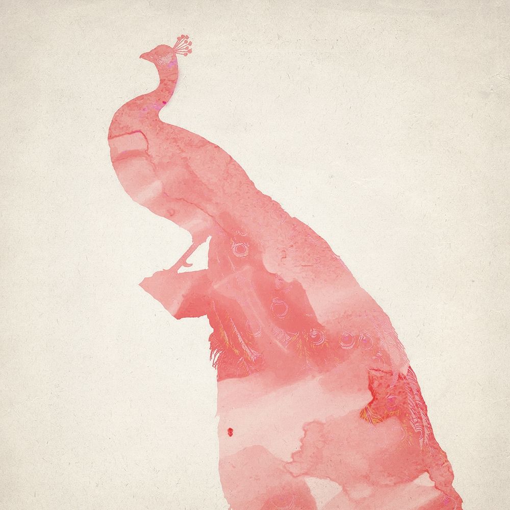 Pink Peacock 3 art print by Kimberly Allen for $57.95 CAD