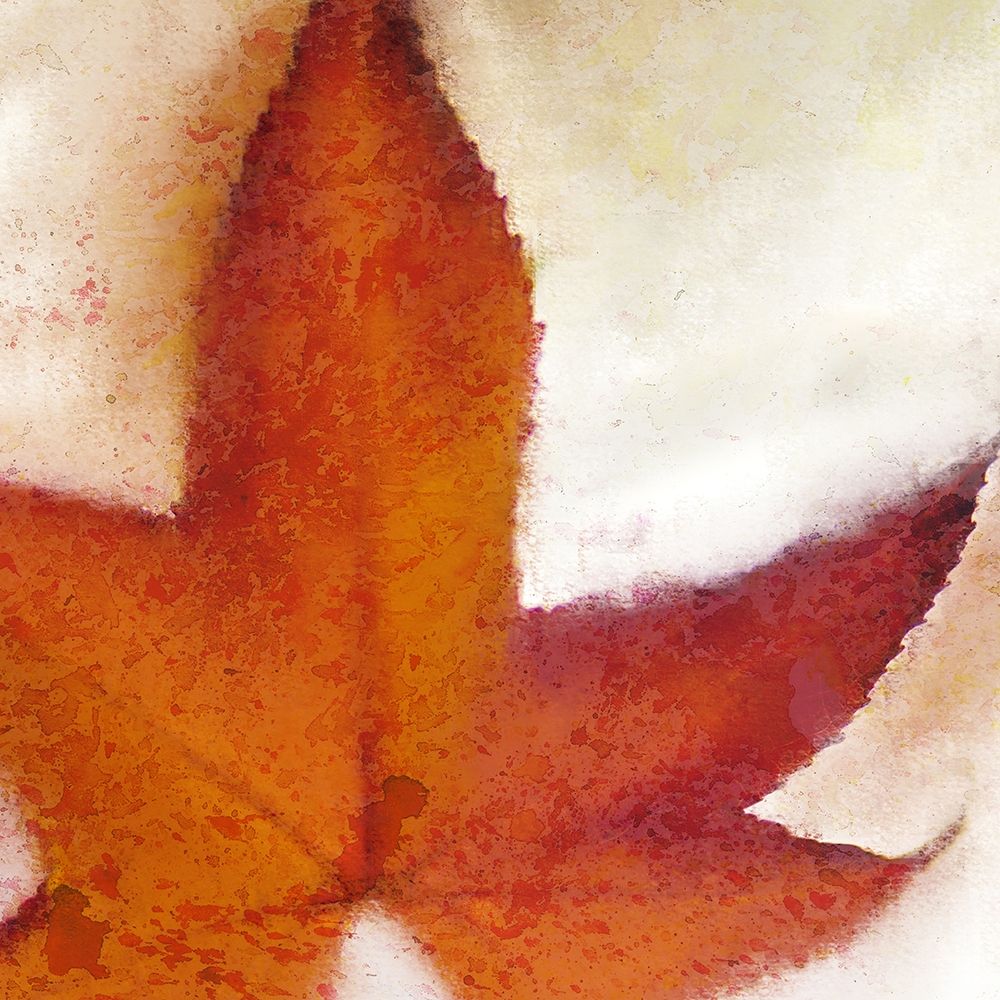 Splatter Leaves 1 art print by Kimberly Allen for $57.95 CAD