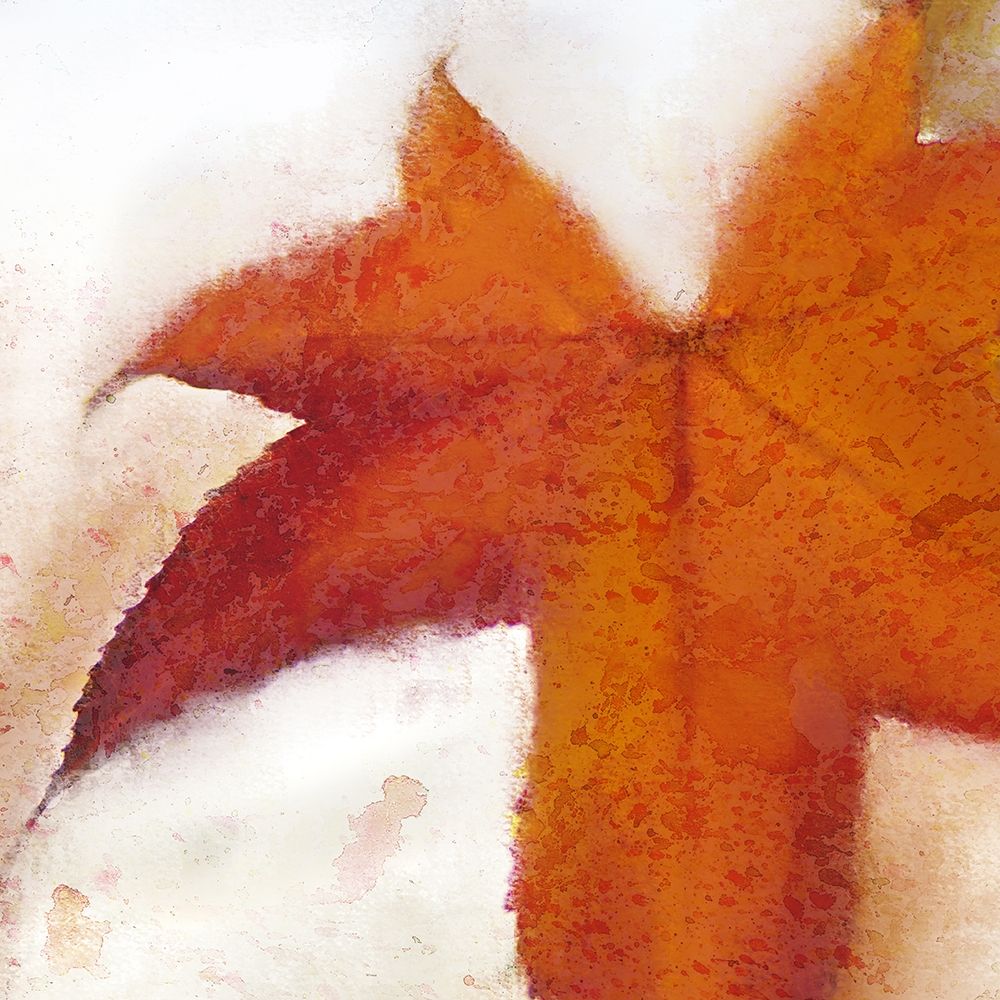 Splatter Leaves 2 art print by Kimberly Allen for $57.95 CAD