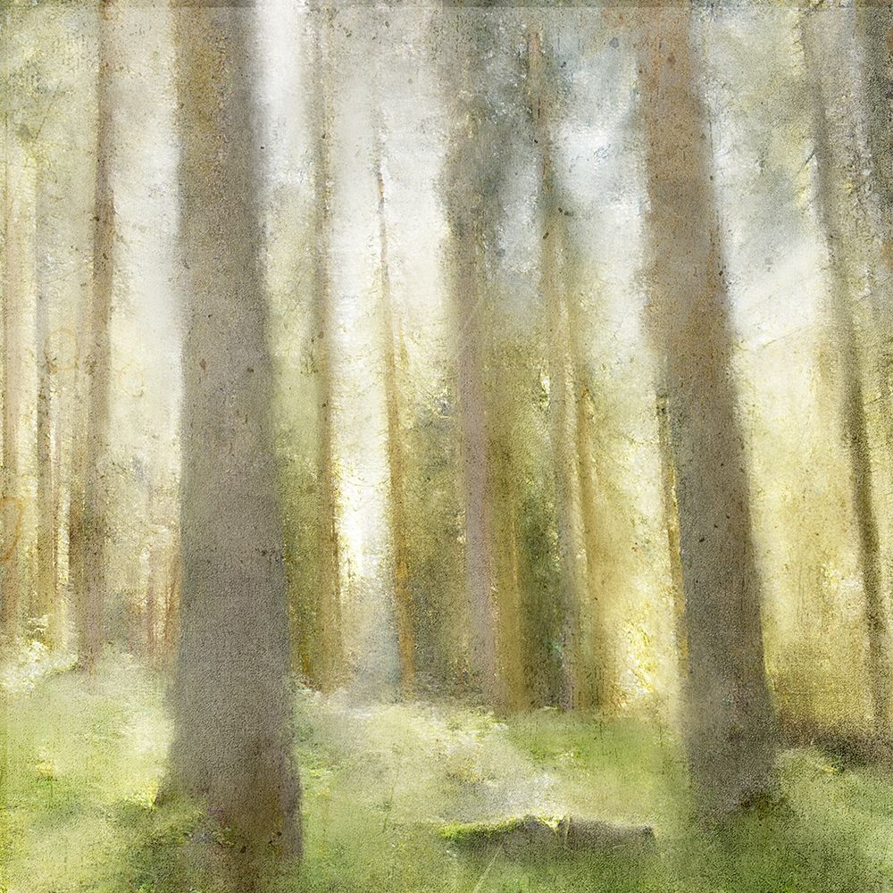 Forest Days art print by Kimberly Allen for $57.95 CAD