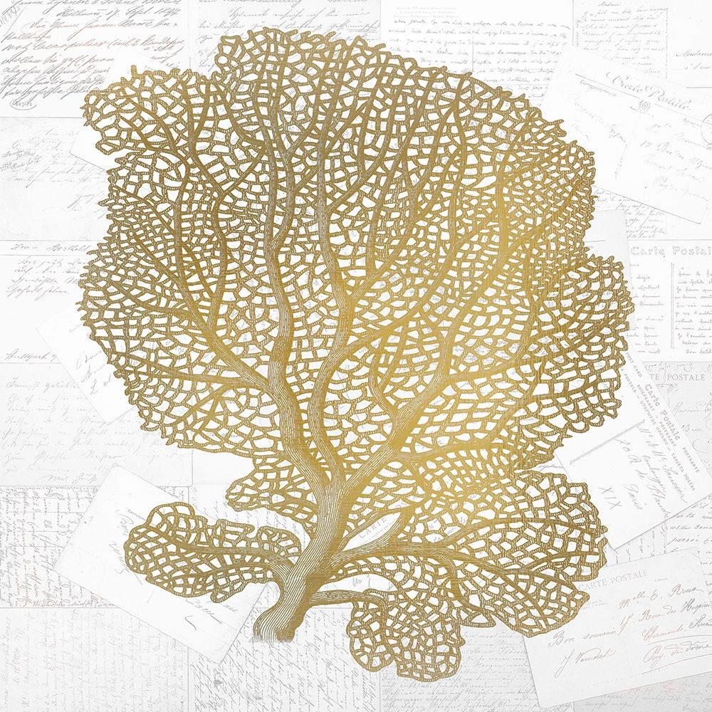 Gold Coral 1 art print by Kimberly Allen for $57.95 CAD