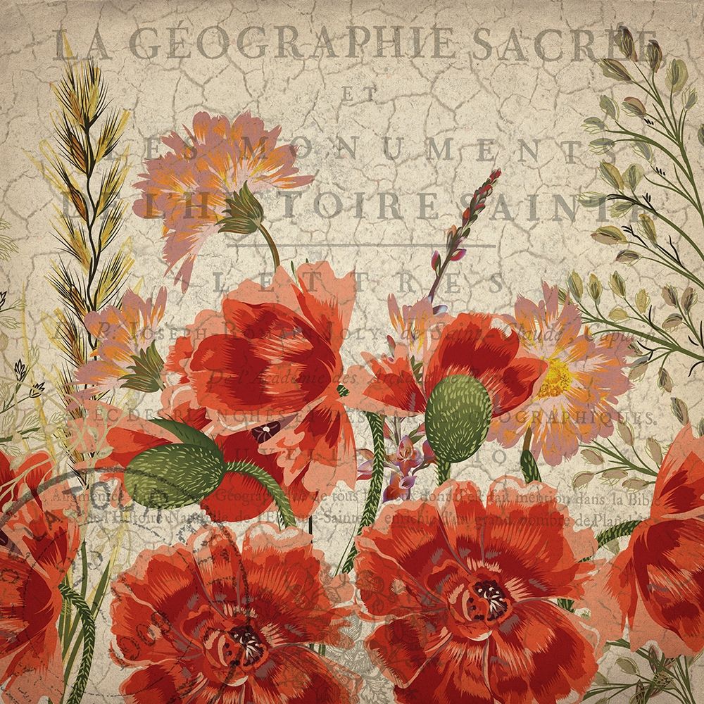 Springtime Blooms art print by Kimberly Allen for $57.95 CAD