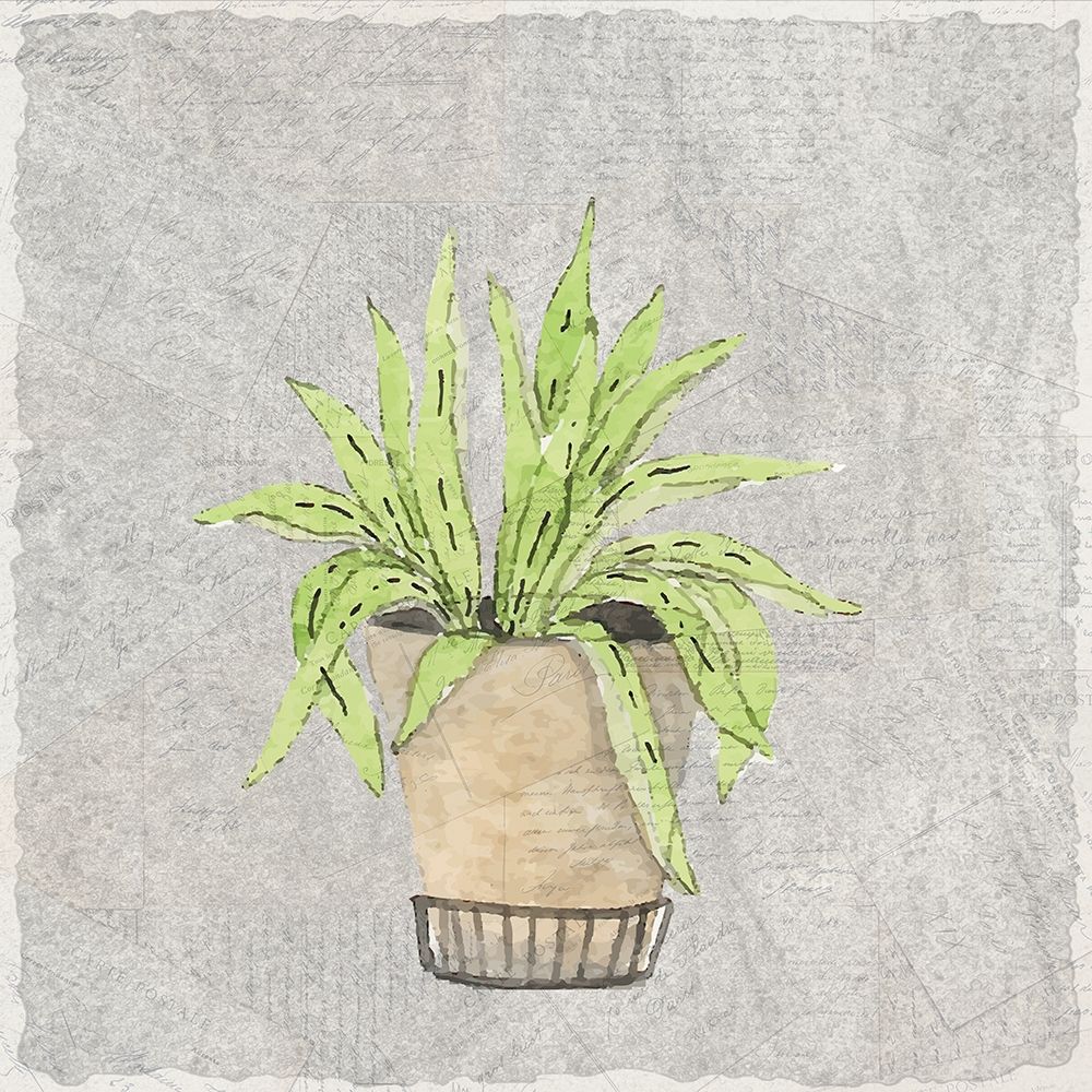 Potted Succulents 2 art print by Kimberly Allen for $57.95 CAD