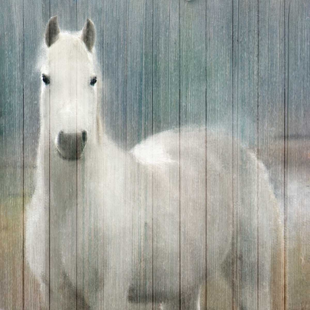 Serenity White art print by Kimberly Allen for $57.95 CAD