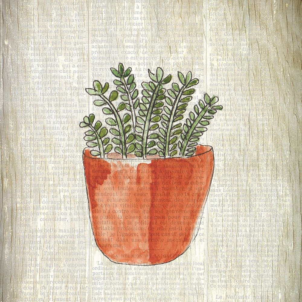 Spring Cactus 2 art print by Kimberly Allen for $57.95 CAD