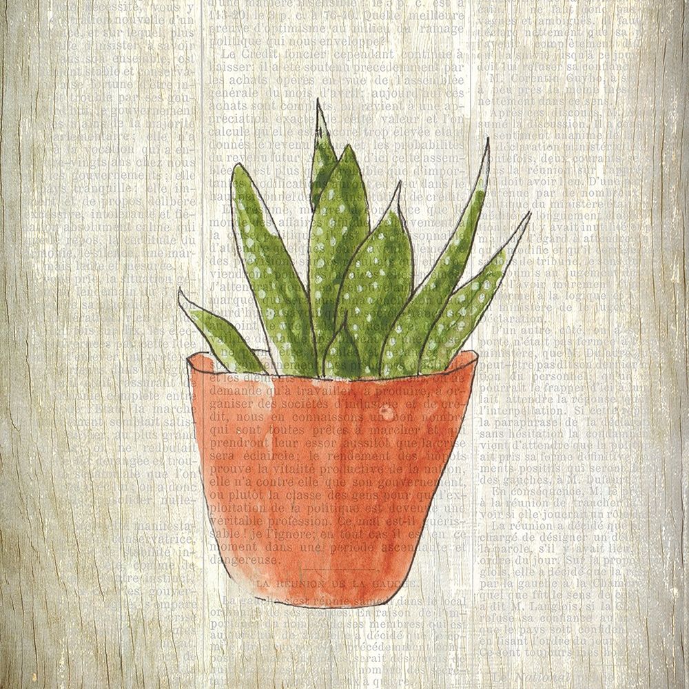Spring Cactus 3 art print by Kimberly Allen for $57.95 CAD
