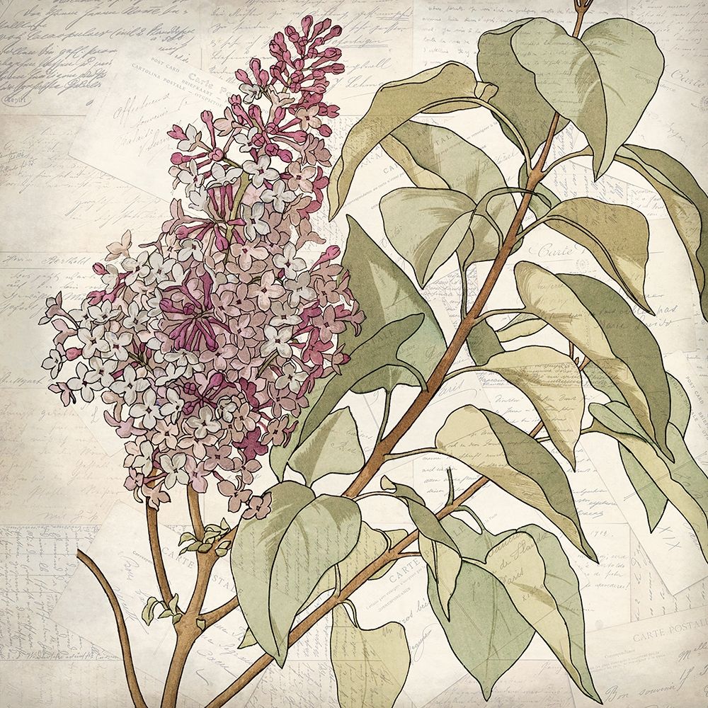 Shades of Purple 1 art print by Kimberly Allen for $57.95 CAD
