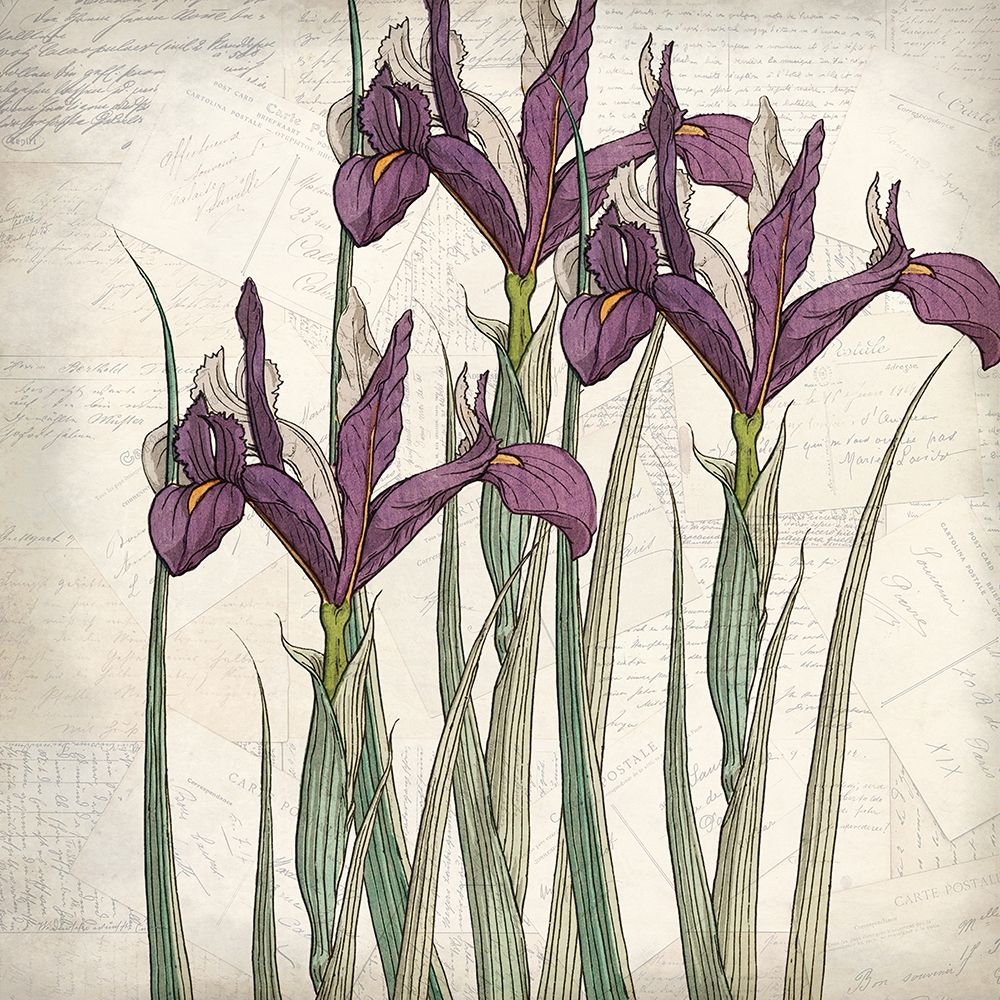 Shades of Purple 3 art print by Kimberly Allen for $57.95 CAD