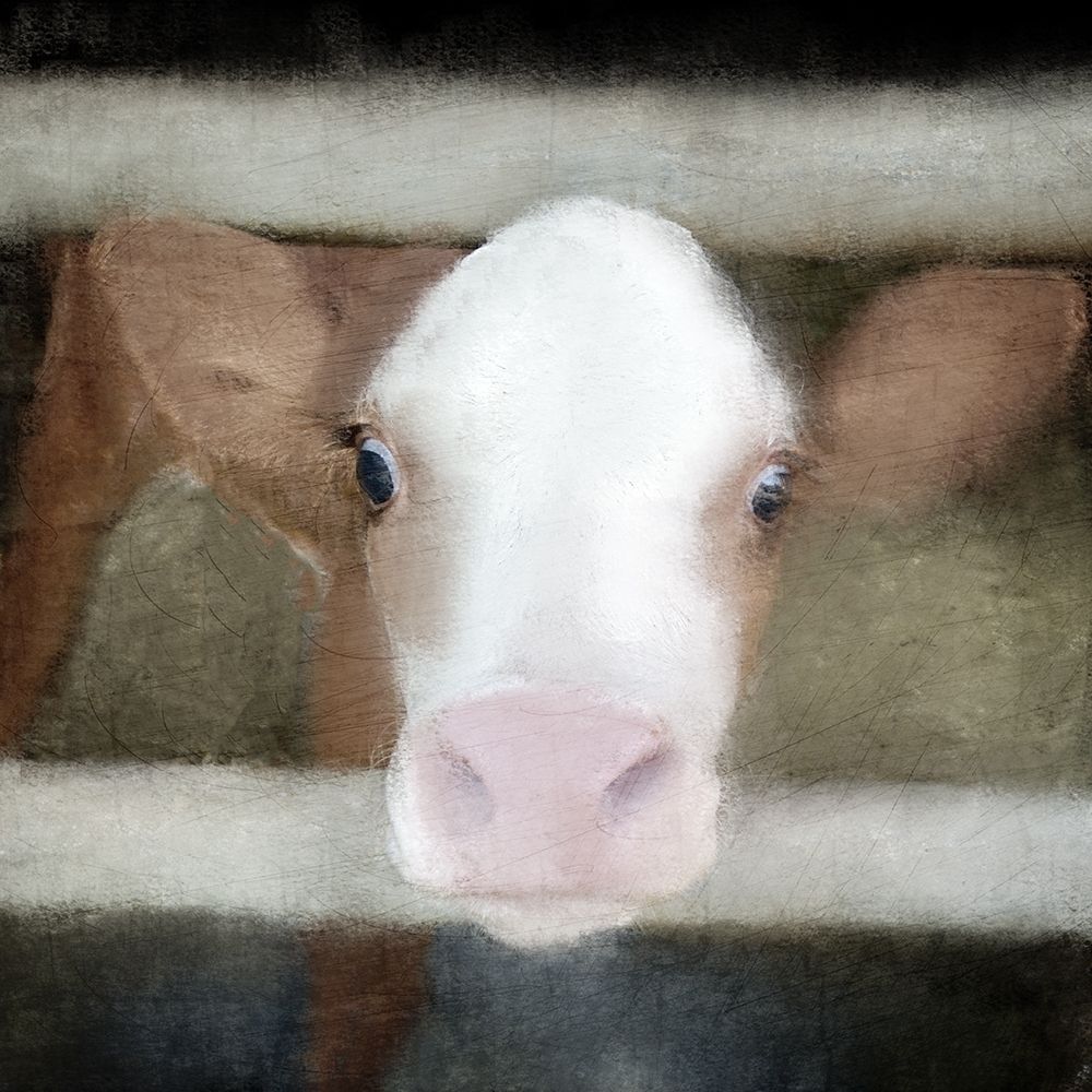 Out of the Fence art print by Kimberly Allen for $57.95 CAD