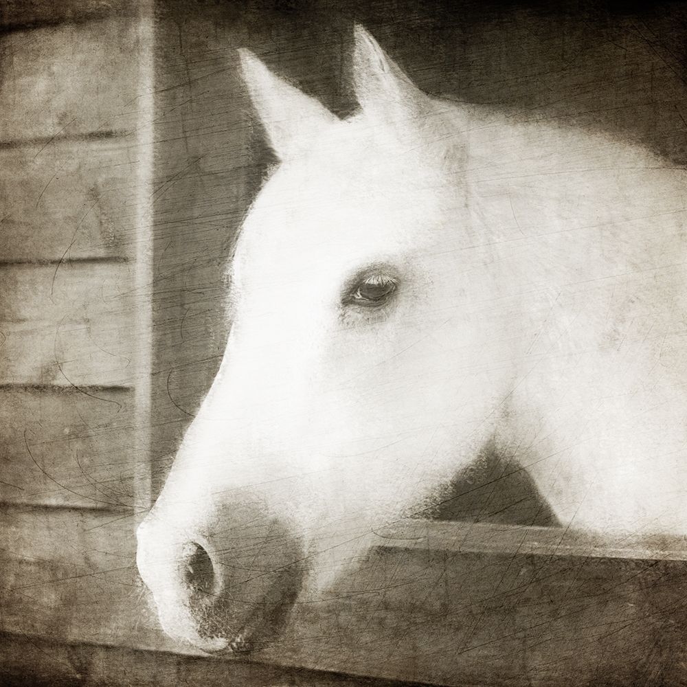 Glory art print by Kimberly Allen for $57.95 CAD