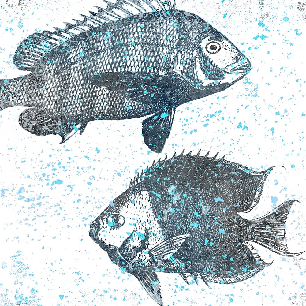 Splatter Fish art print by Kimberly Allen for $57.95 CAD