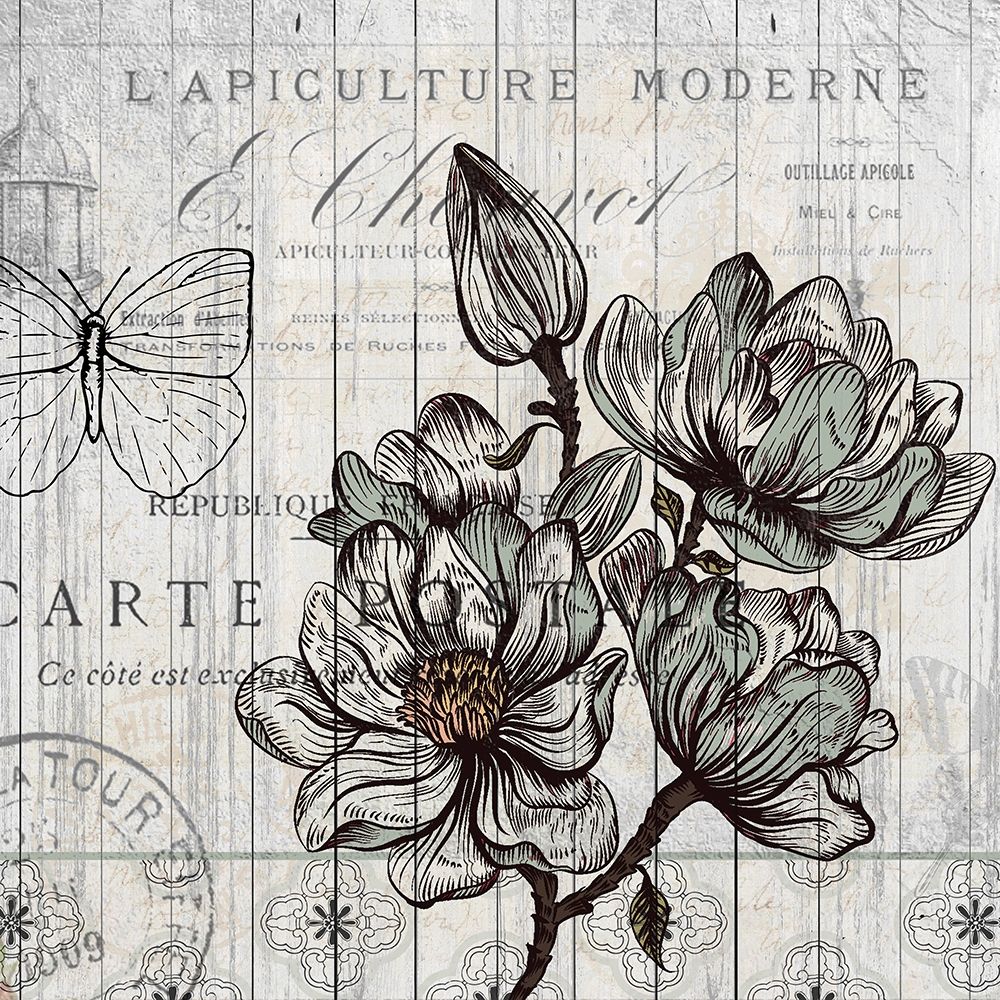 Country Magnolia 1 art print by Kimberly Allen for $57.95 CAD