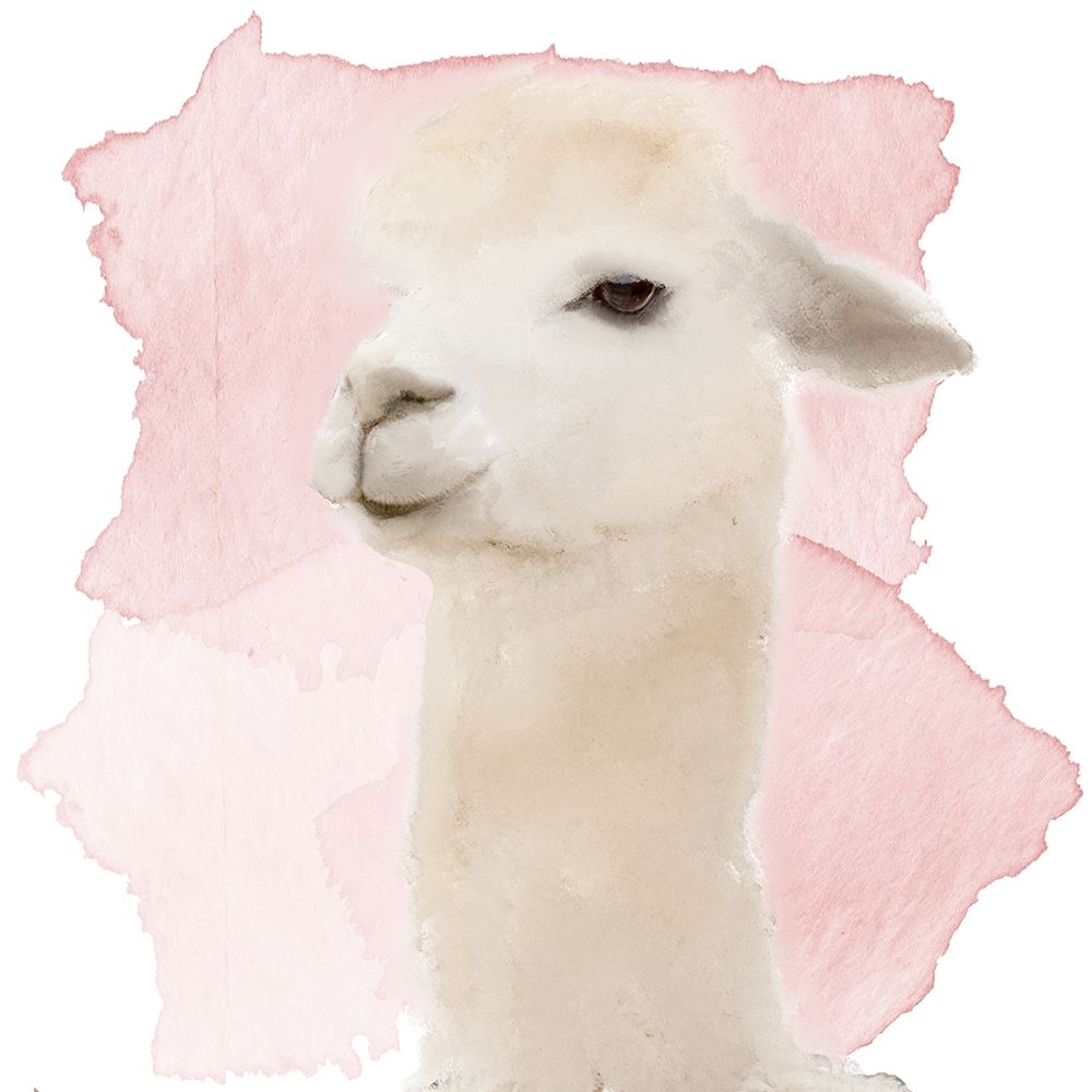Watercolor Llama art print by Kimberly Allen for $57.95 CAD