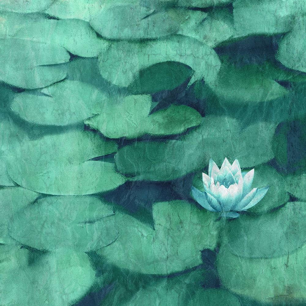 Lotus Blossom art print by Kimberly Allen for $57.95 CAD