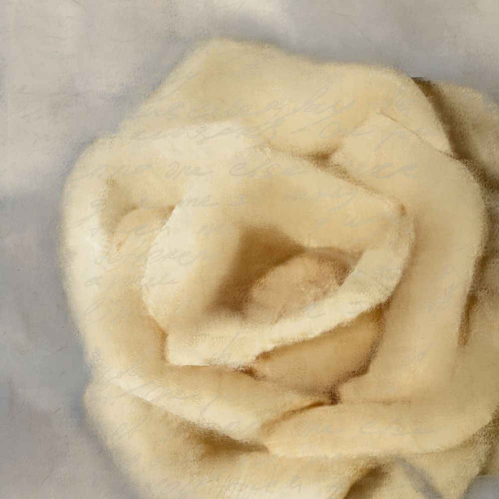 Rosa 2 art print by Kimberly Allen for $57.95 CAD