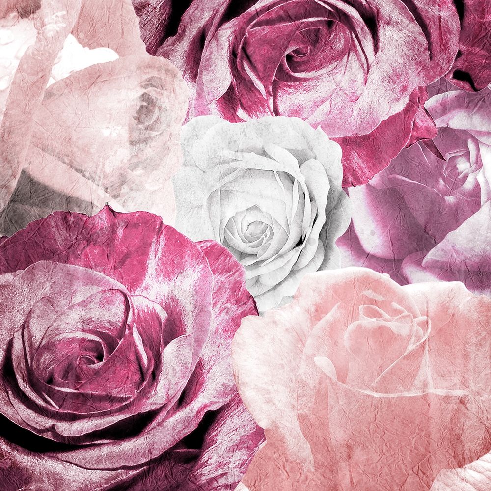 Rose Blooms 1 art print by Kimberly Allen for $57.95 CAD