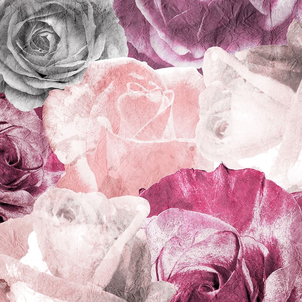 Rose Blooms 2 art print by Kimberly Allen for $57.95 CAD