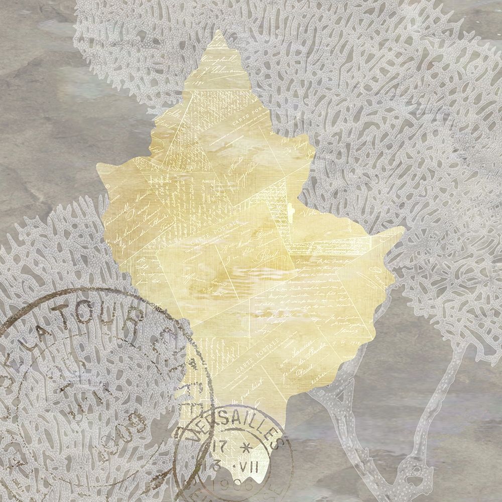 Neutral Shell 1 art print by Kimberly Allen for $57.95 CAD