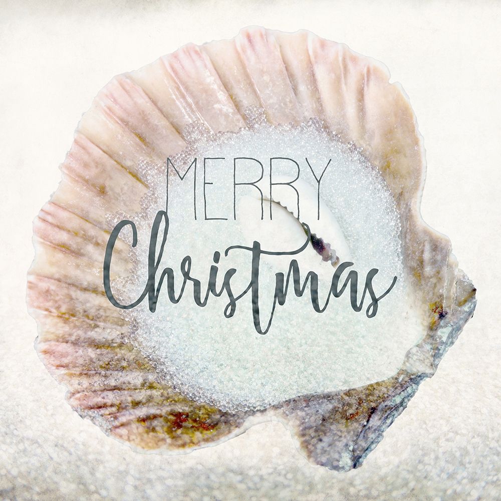 Merry Christmas Shell art print by Kimberly Allen for $57.95 CAD