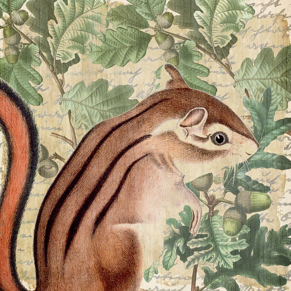 Chipmunk Square 1 art print by Kimberly Allen for $57.95 CAD